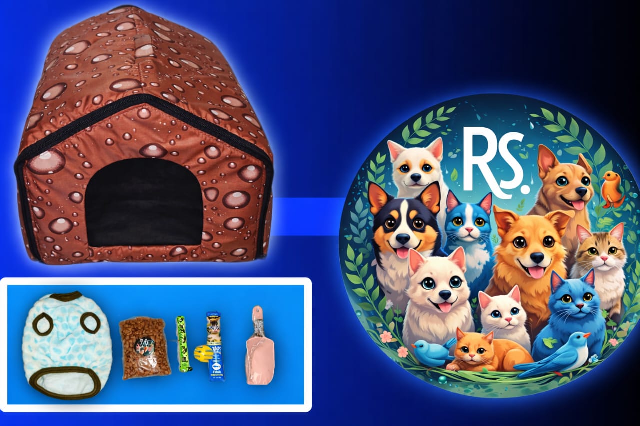 Deal 1399 – Kitten Starter Pack